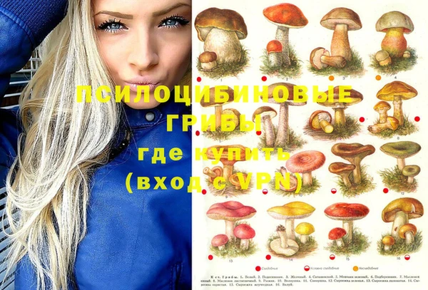герыч Алексеевка