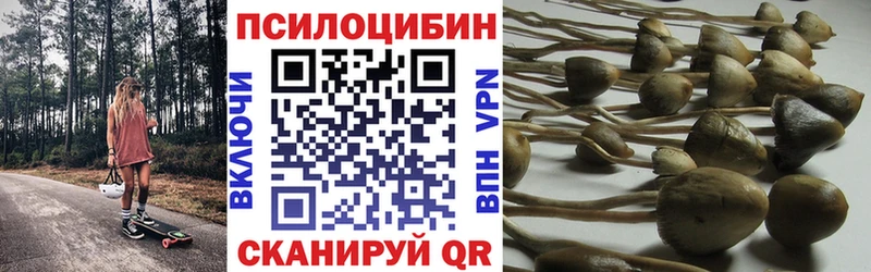 ссылка на мегу   Михайловск  Галлюциногенные грибы ЛСД 