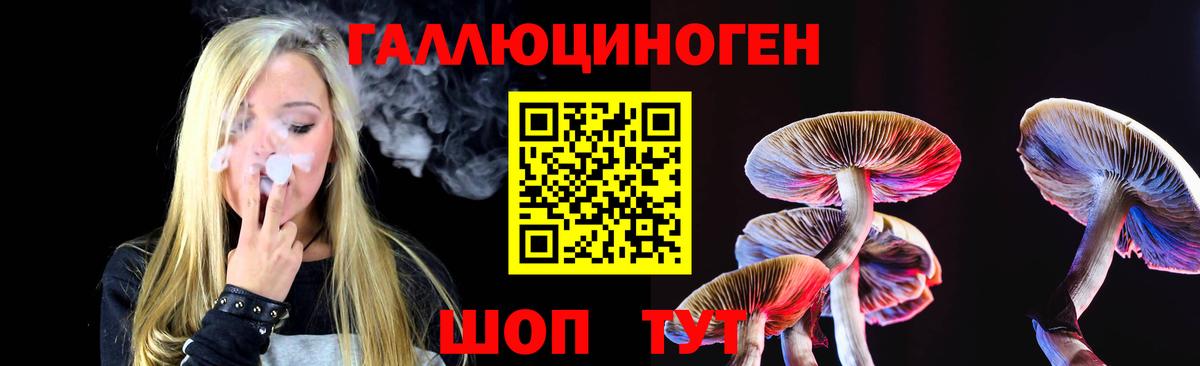 Галлюциногенные грибы мицелий  Вход с VPN  Михайловск 