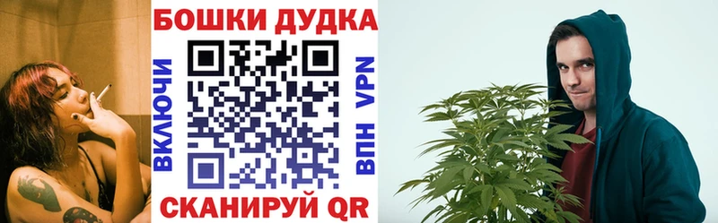 дарнет шоп Михайловск Шишки марихуана ГИДРОПОН